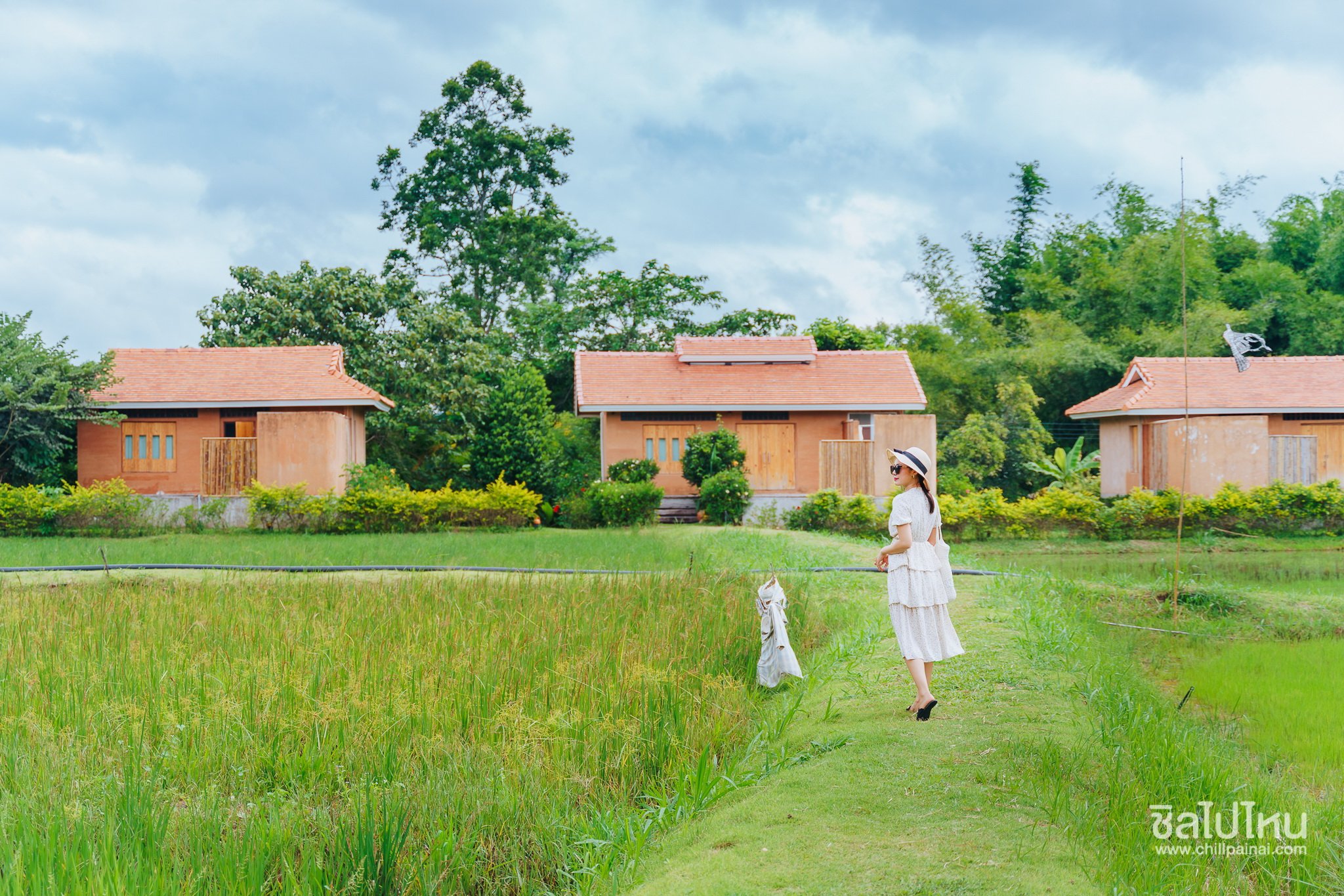 Coolliving Farmhouse eco & organic living คูลลิฟวิ่ง ฟาร์มเฮ้า อาหาร ที่พัก Facebook ad: ECO Local Minimal Organic FARM STAY