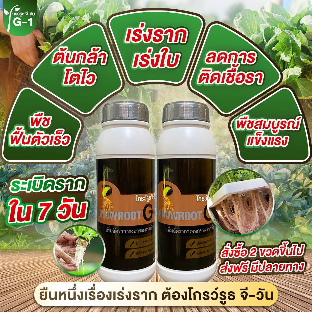 ยาเร่งราก โกรว์รูธ จี-วัน Facebook ad: ยาเร่งรา?
