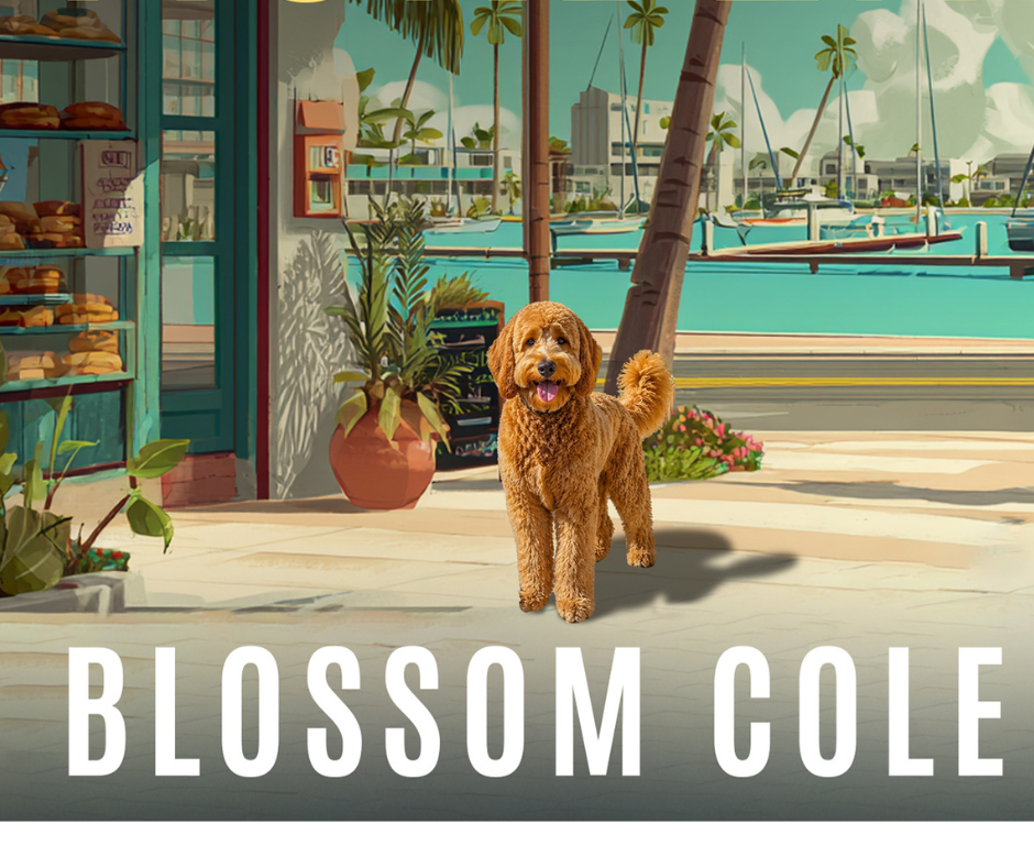 Blossom Cole Cozy Mysteries Facebook ad: Misjudged Crime Puzzle Death