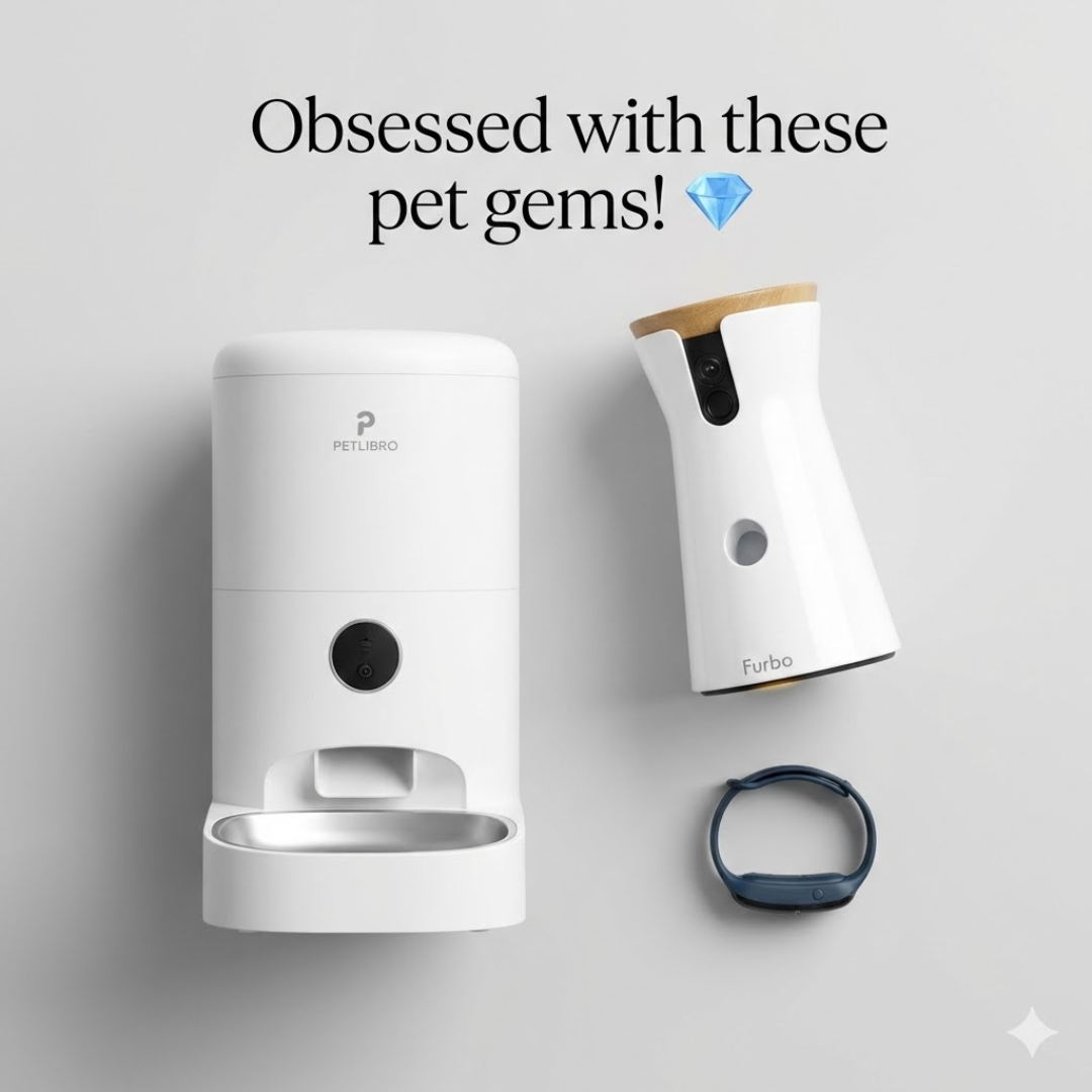 Noah's Deals Facebook ad