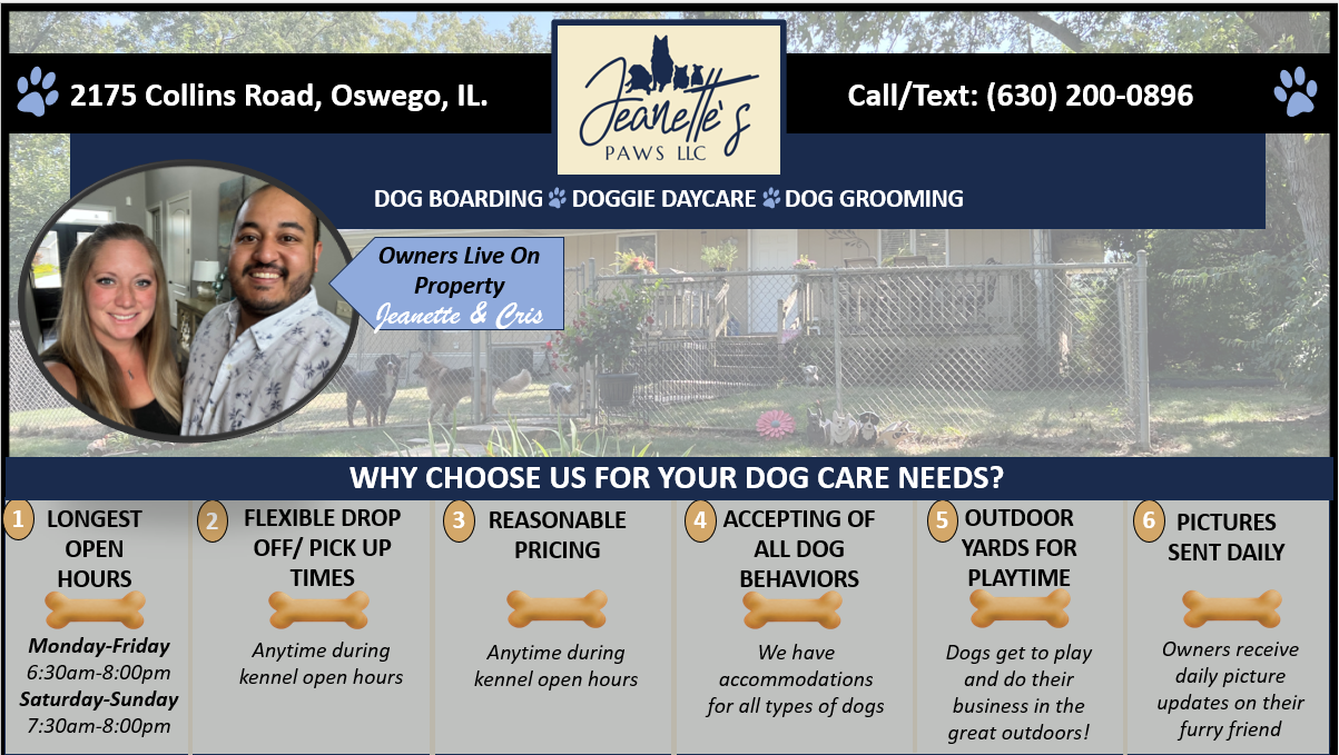 Jeanette's PAWS LLC Facebook ad