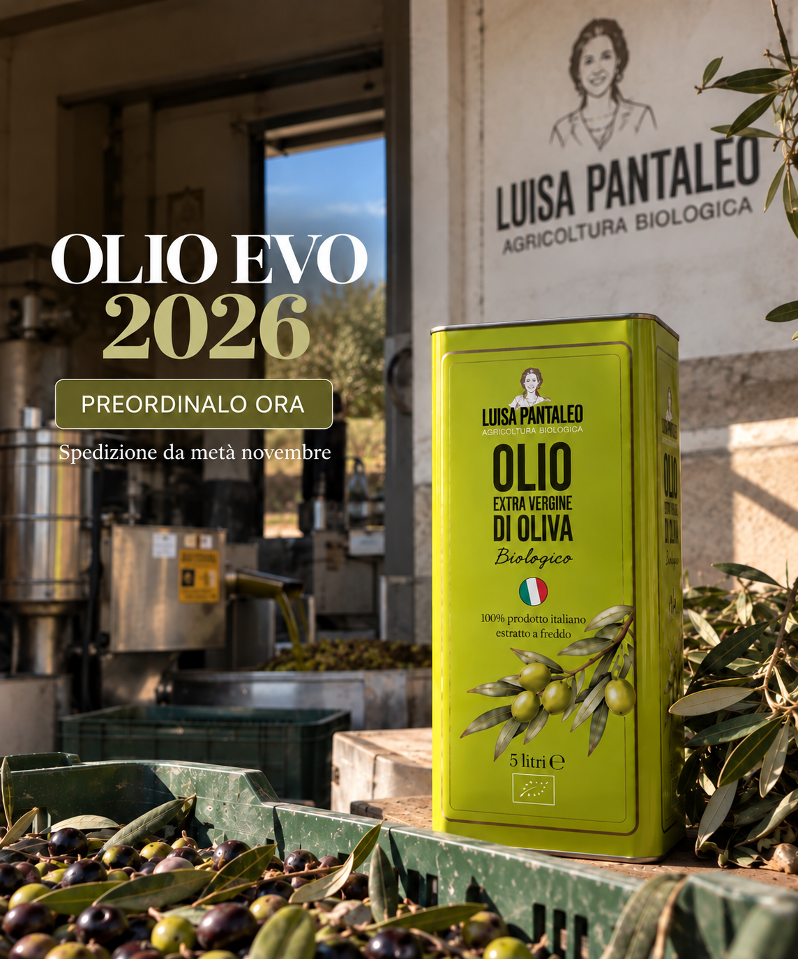 Pantaleo Agricoltura Facebook ad: Olio nuovo 2026: prenotalo ora