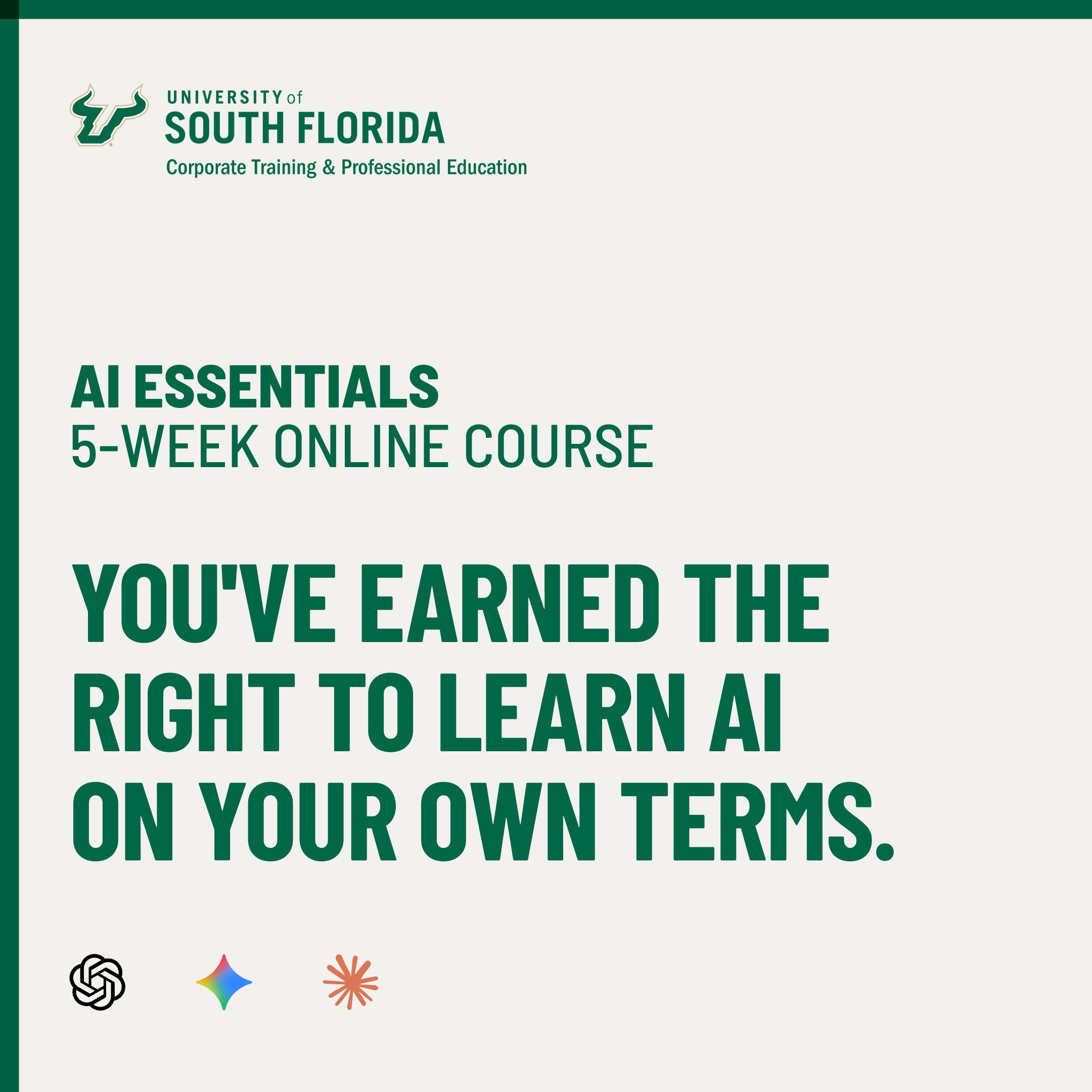 USF Corporate Training and Professional Education Online Certificates Facebook ad