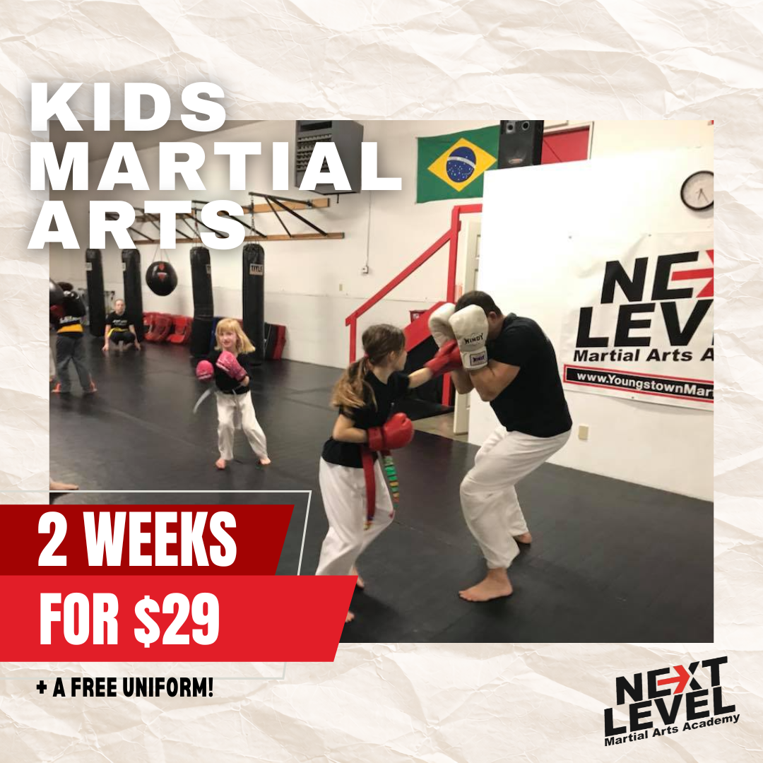 Next Level Martial Arts Facebook ad