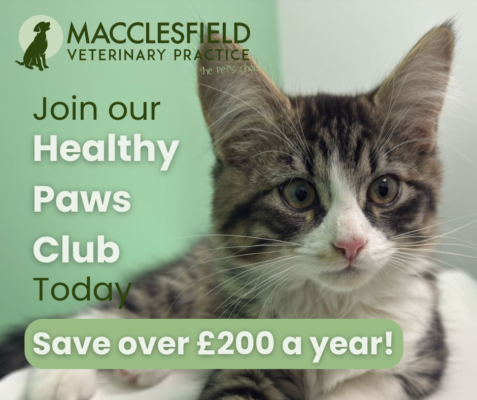 Macclesfield Veterinary Practice Facebook ad: Save over £200 on your pets preventative health…