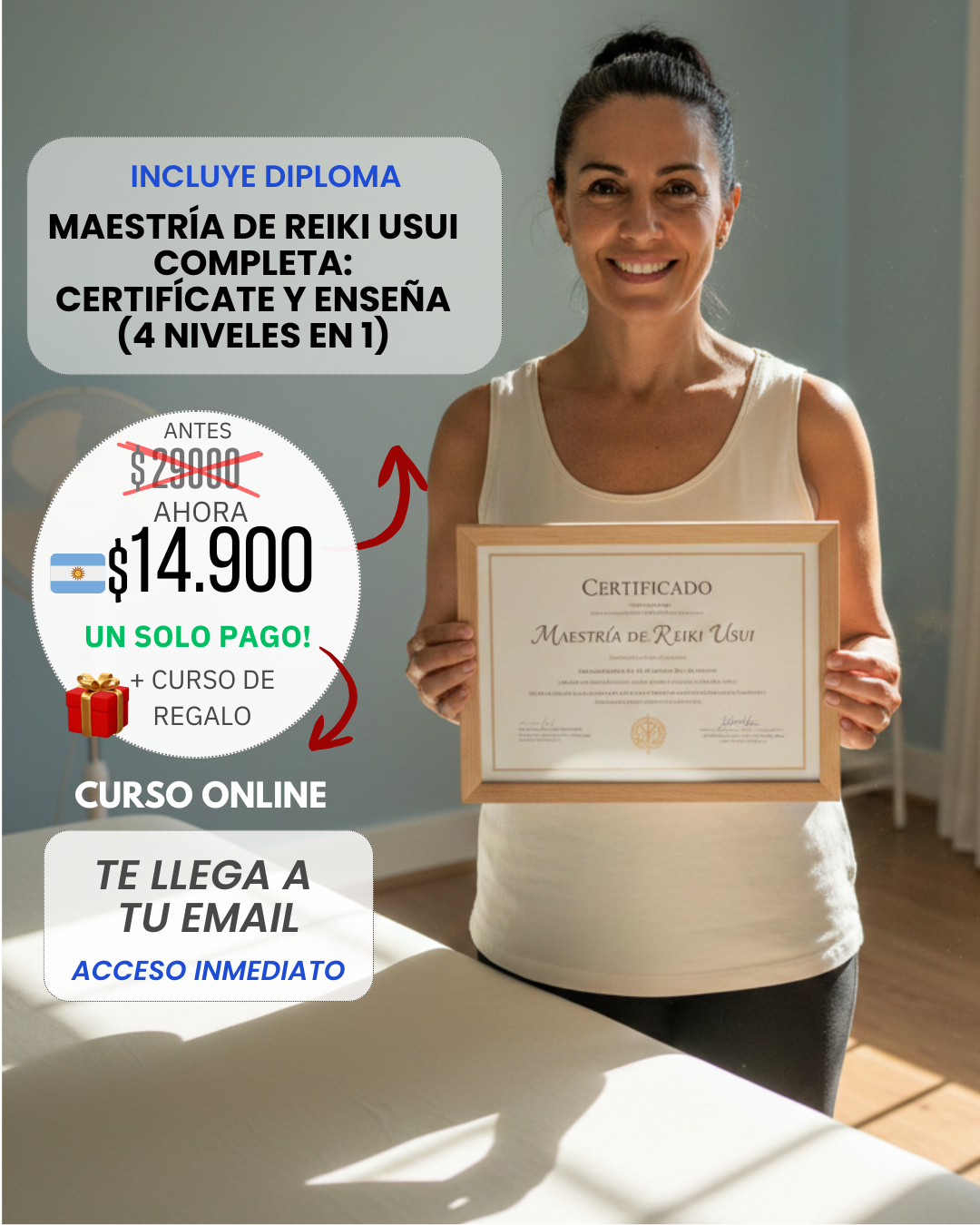 Instituto Holisticam Argentina Facebook ad from Feb 24, 2026