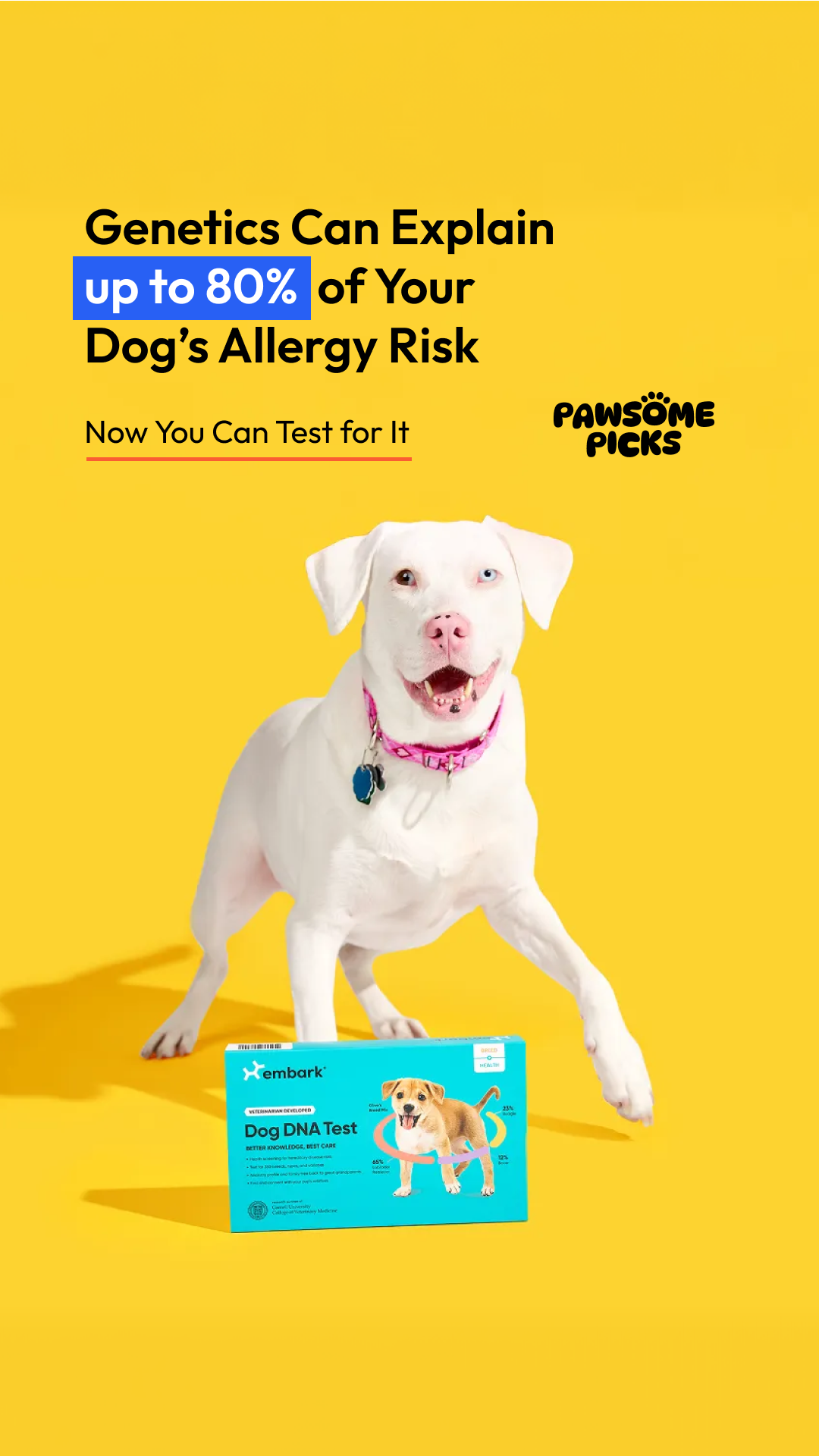 Pawsome Picks Facebook ad