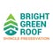 Bright Green Roof