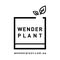 Wender Plant