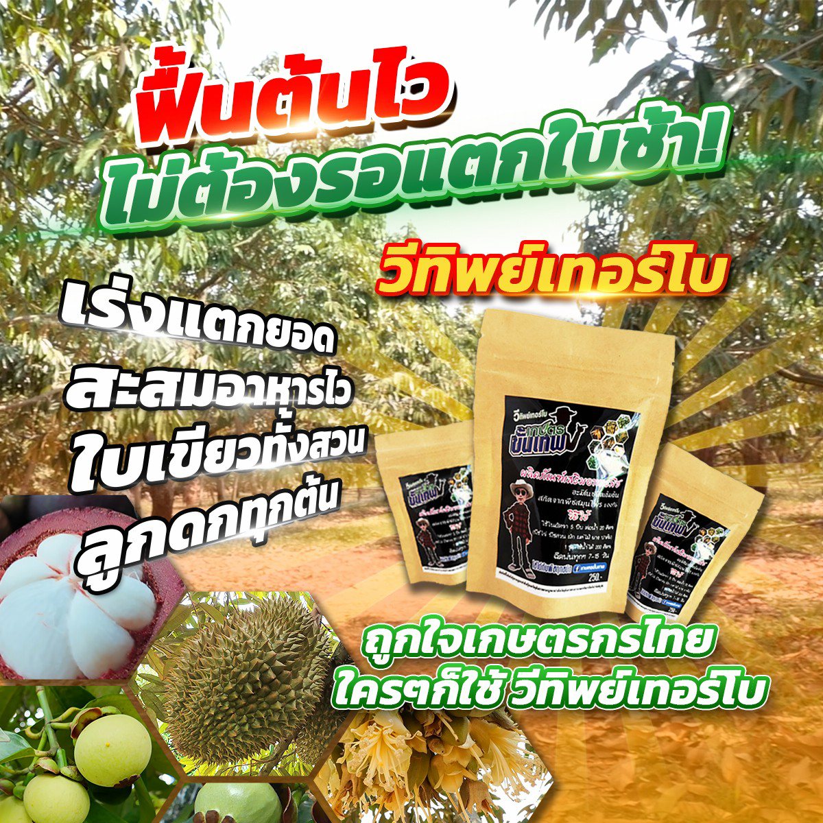 เกษตรขั้นเทพ v.3 Facebook ad: ออกดอกเต็มสวน โดยไม่ต้องพึ่งสารบังคับดอก? ที่สวน.ทำได้จริง!.