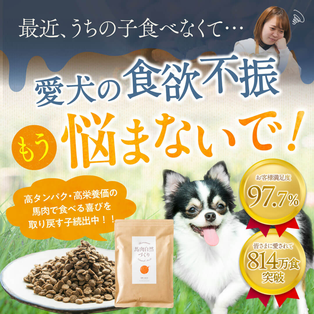 健康いぬ生活 Facebook ad