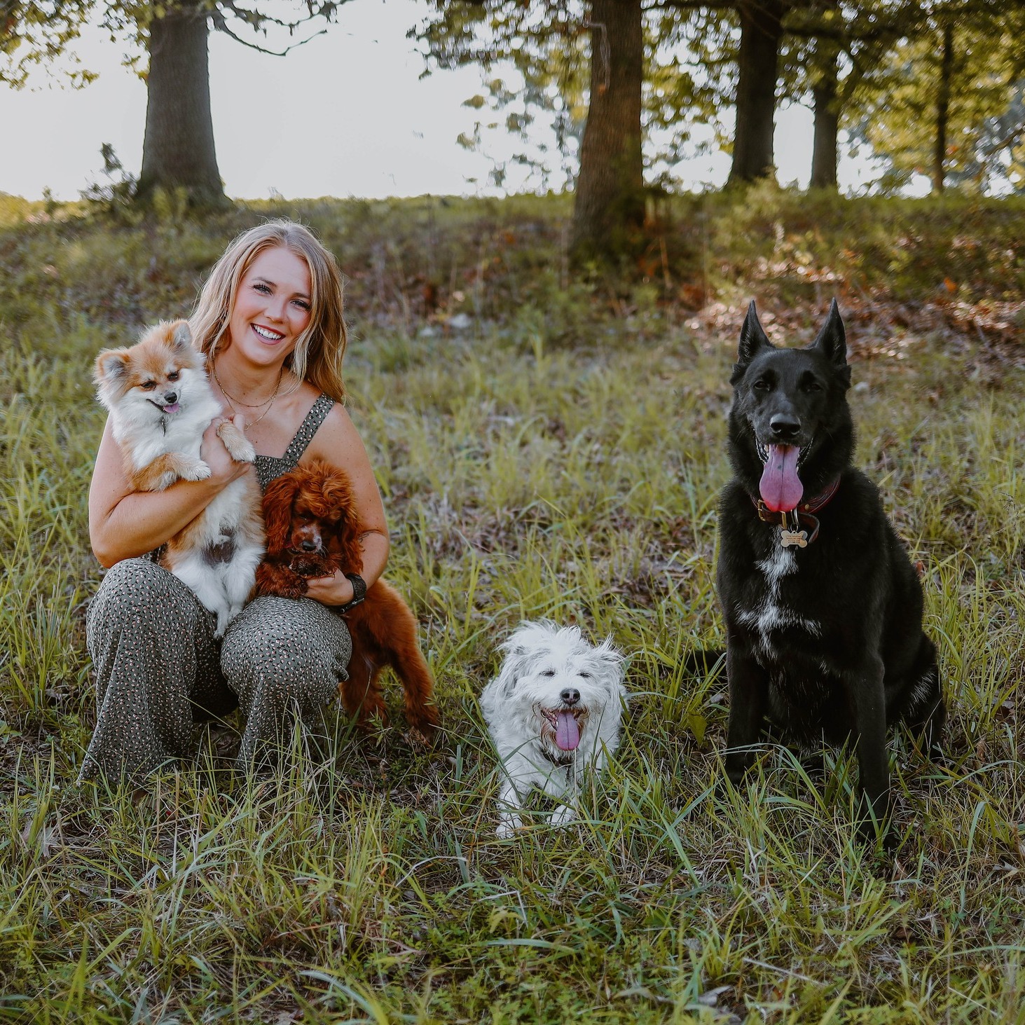 Zoomin Groomin - NW Arkansas Facebook ad