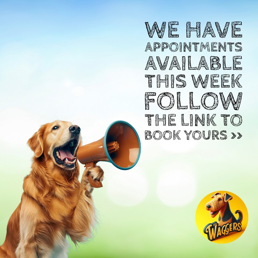 Tail Waggers Dog Grooming Facebook ad: Online booking - Tail Waggers Grooming