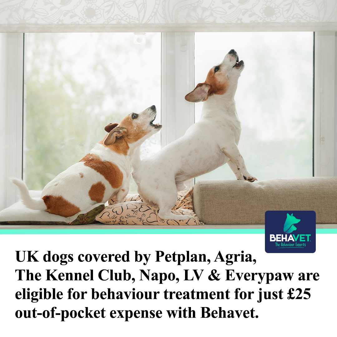 Behavet: The Pet Behaviour Experts Facebook ad