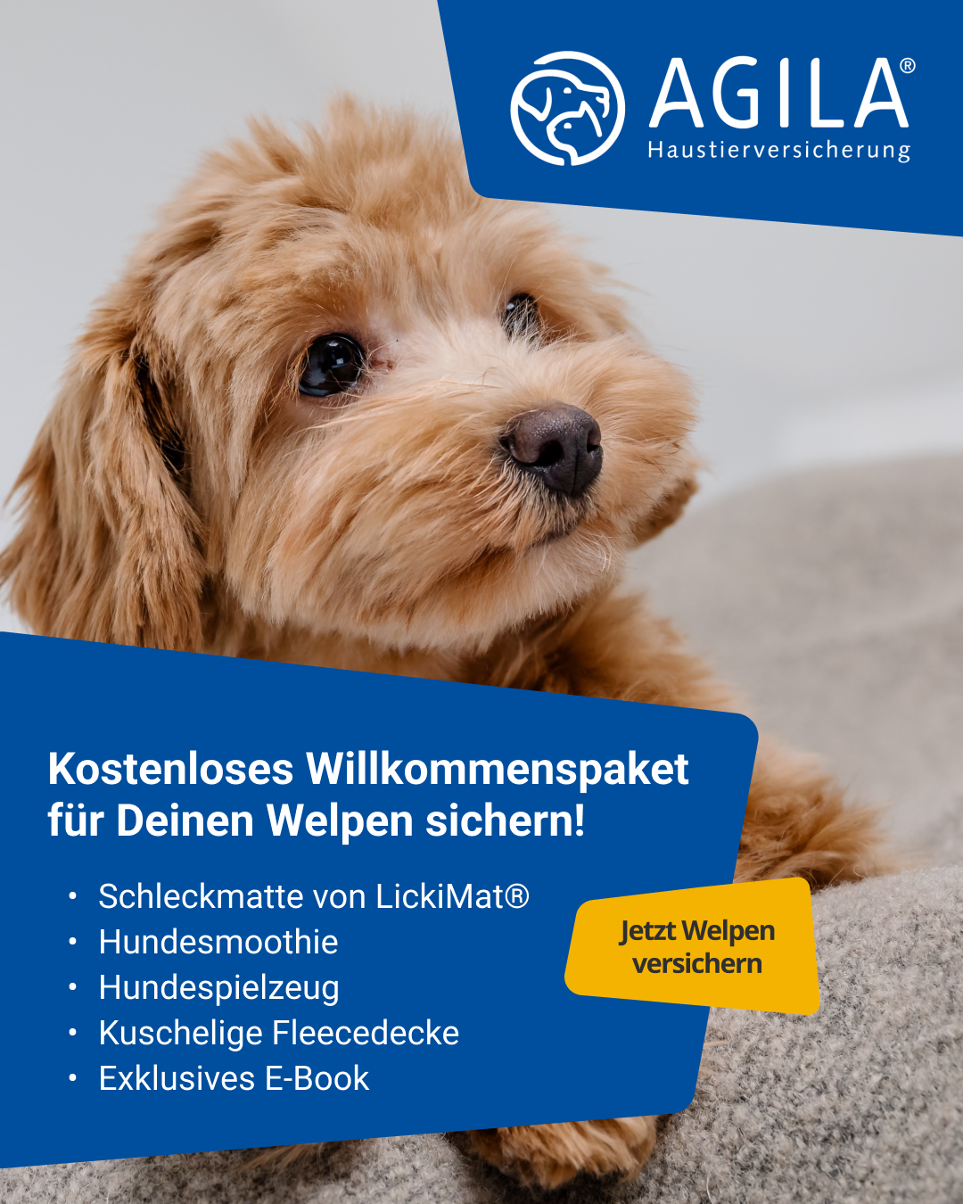 AGILA Haustierversicherung Facebook ad