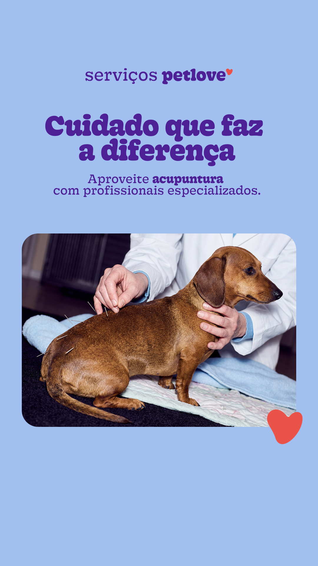 Petlove Facebook ad