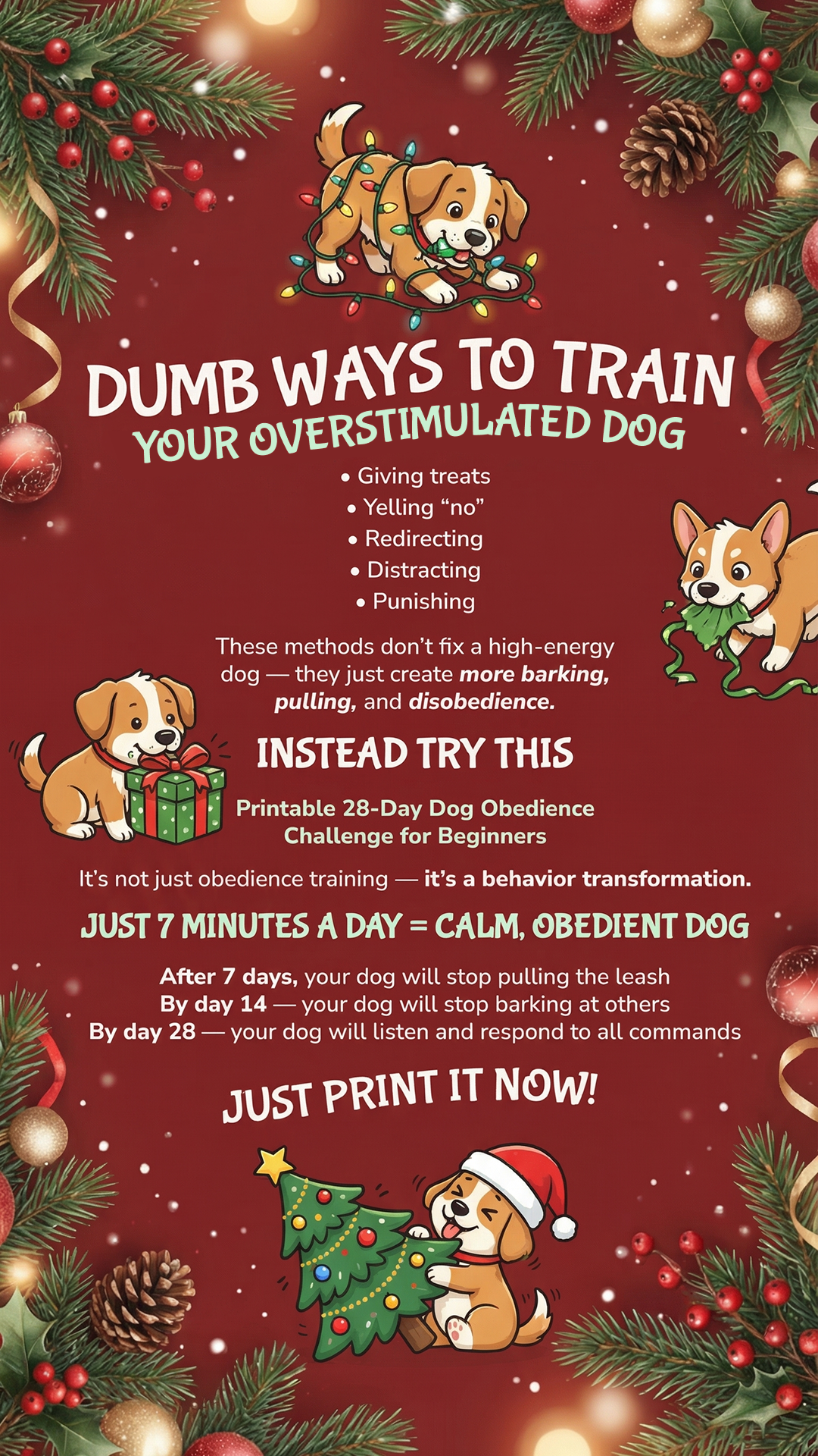 28 Day Dog Obedience Challenge Facebook ad