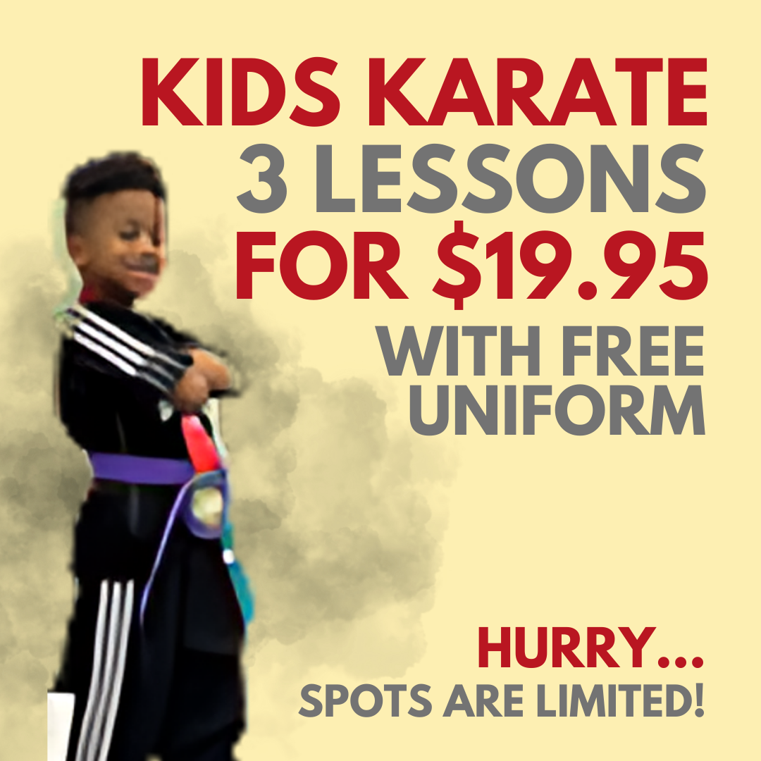 AmeriKick Martial Arts - Staten Island Facebook ad
