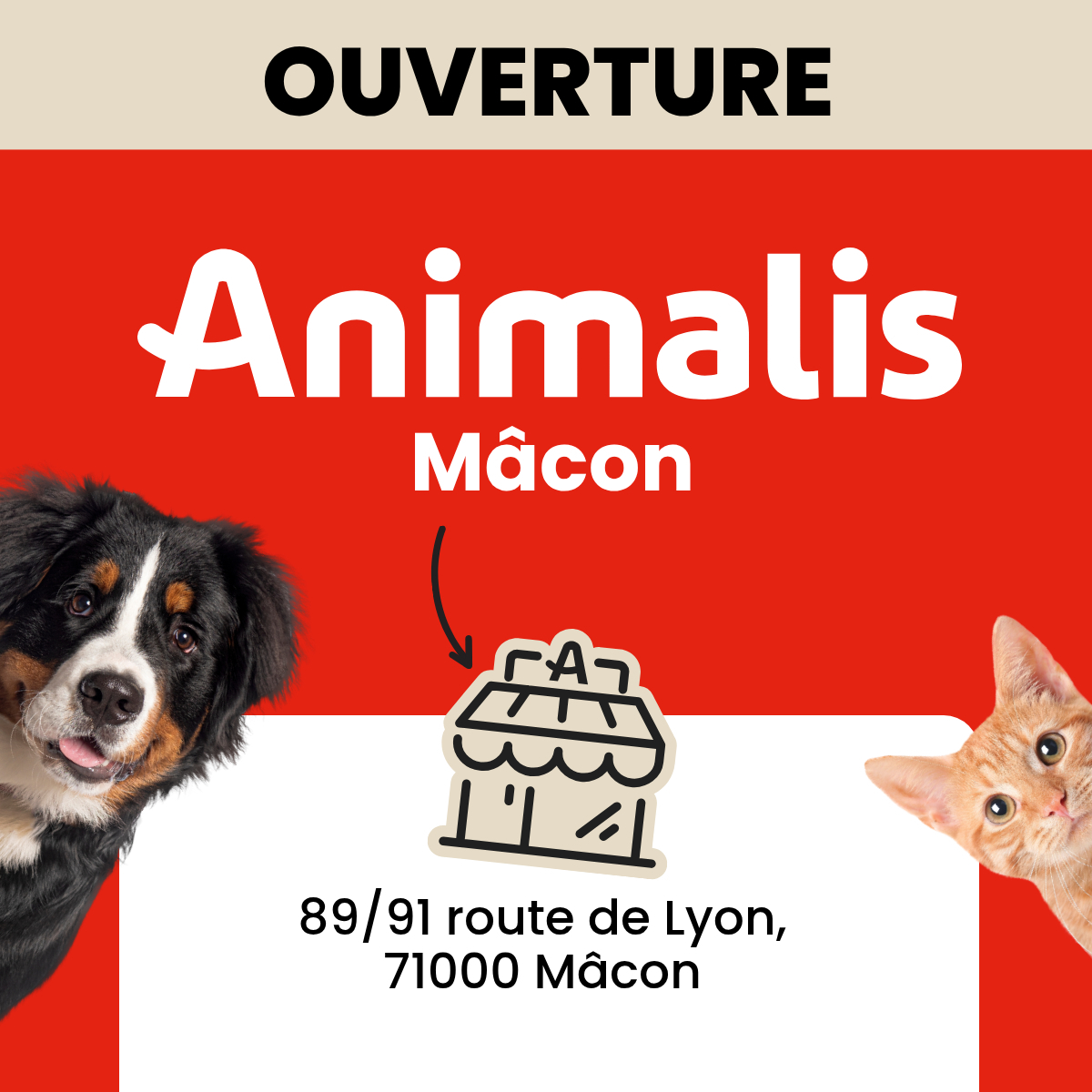Animalis Facebook ad