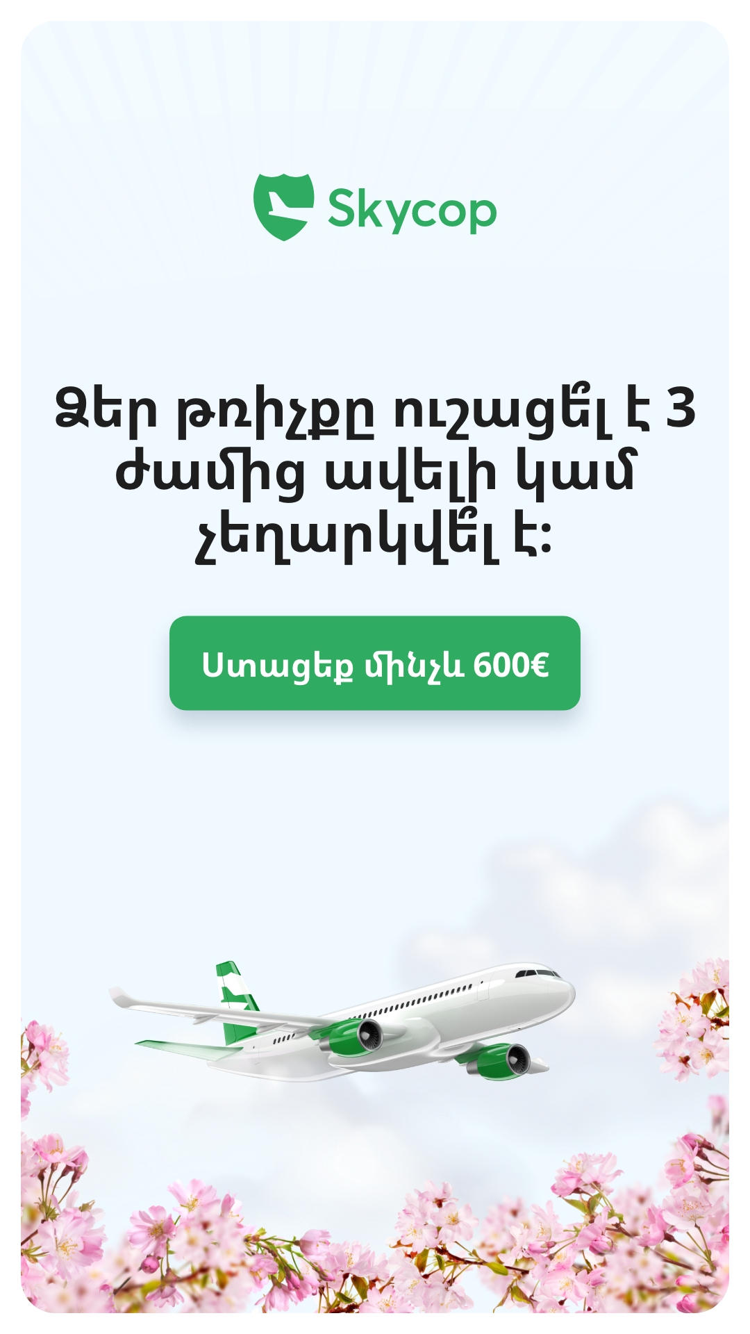Skycop Facebook ad