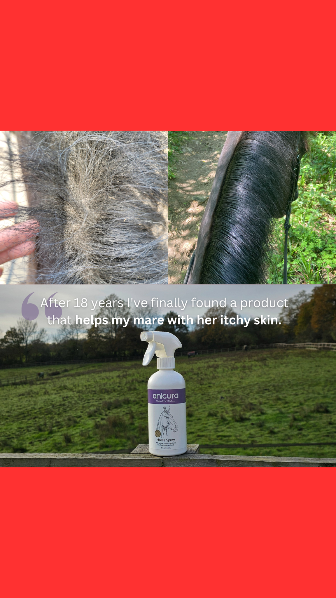 Anicura Natural Pet Solutions Facebook ad