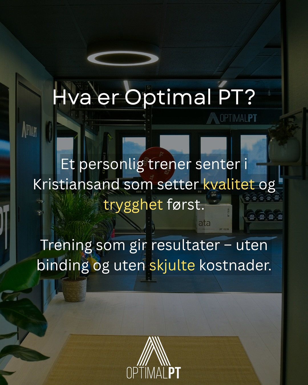 Optimalpt Kristiansand Facebook ad: Hva er OptimalPT?