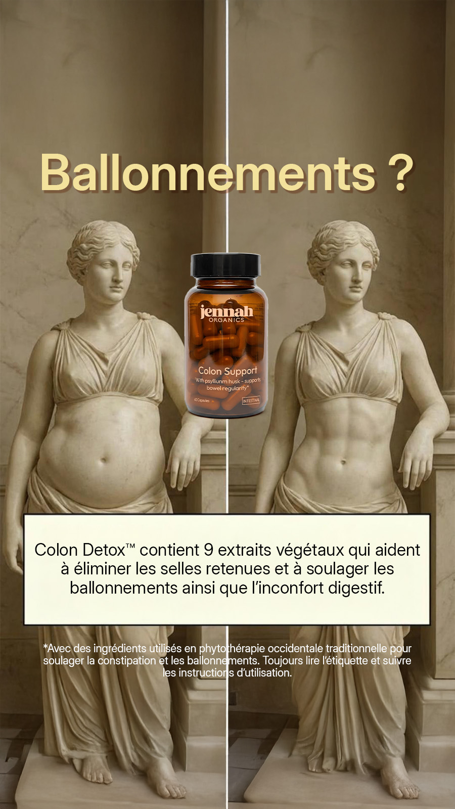 Silvana van der Zee Facebook ad: Cela a changé ma vie.