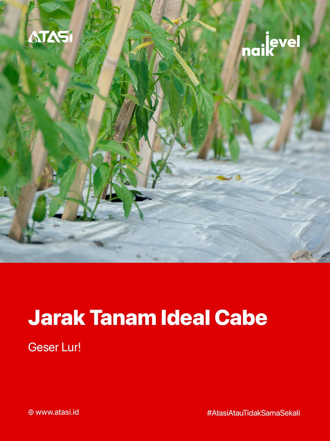 Atasi Facebook ad