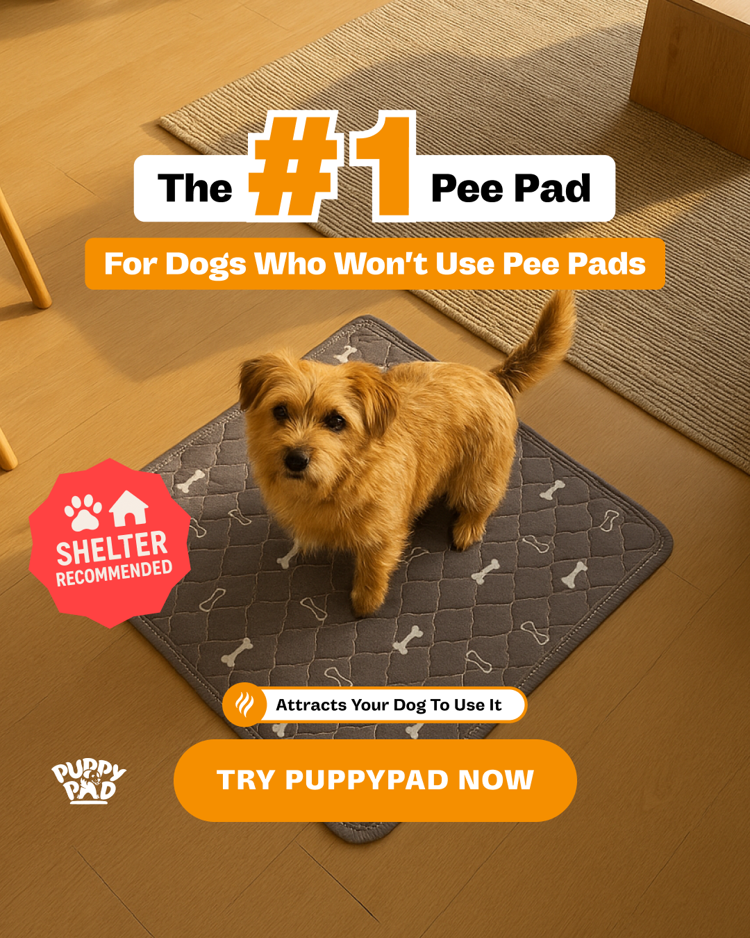 PuppyPad Facebook ad