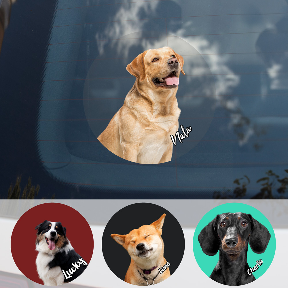Pet Printed Facebook ad