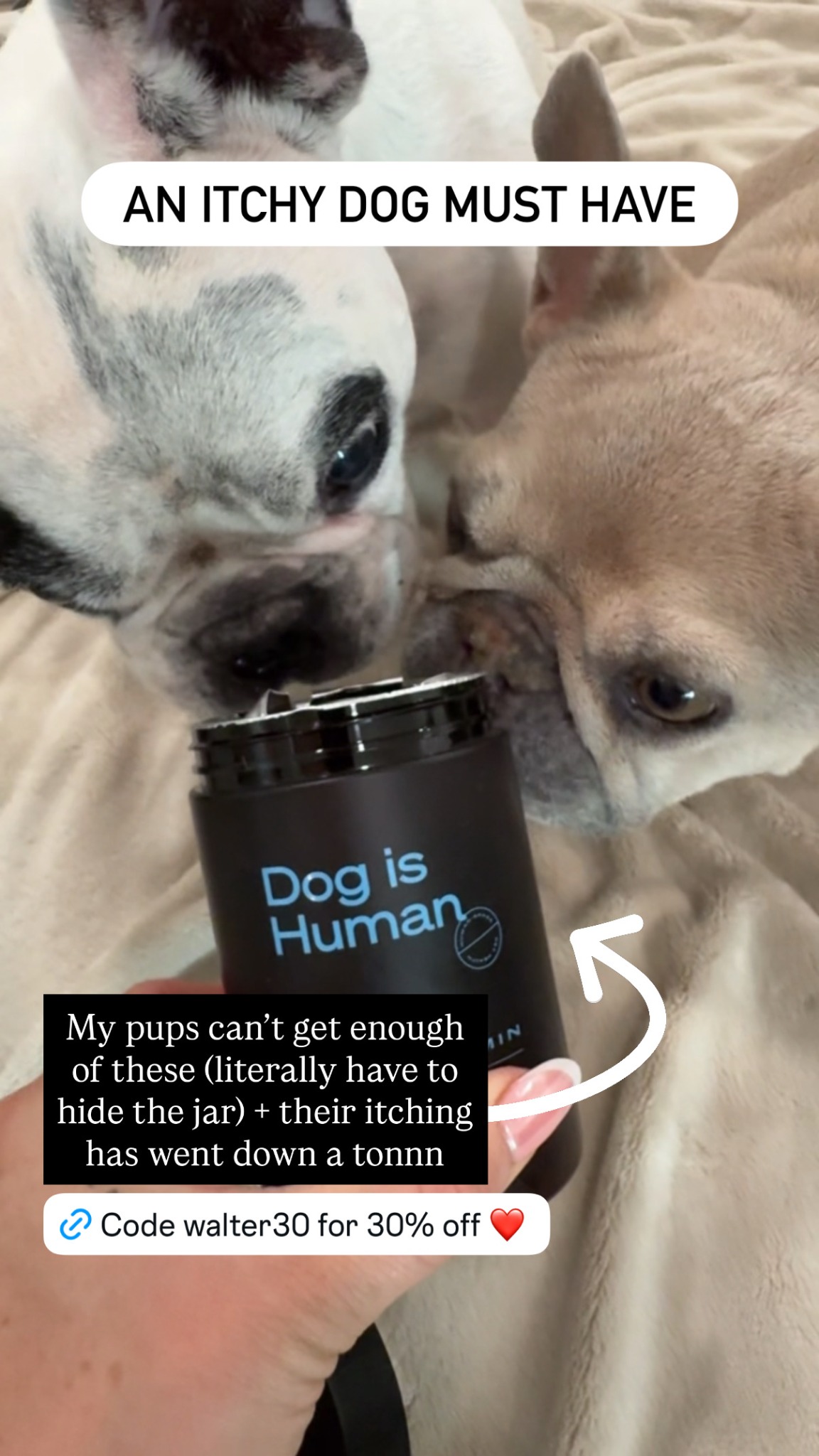 Dog is Human Facebook ad