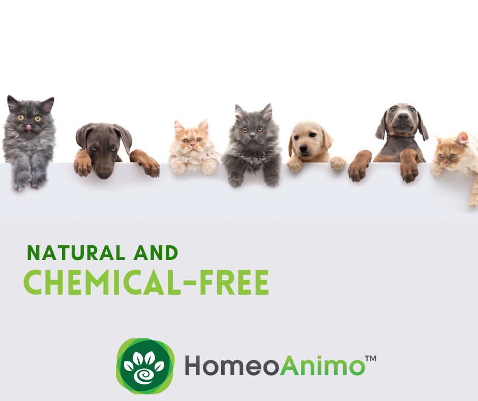 Homeoanimo.com Facebook ad: NATURAL AND CHEMICAL-FREE