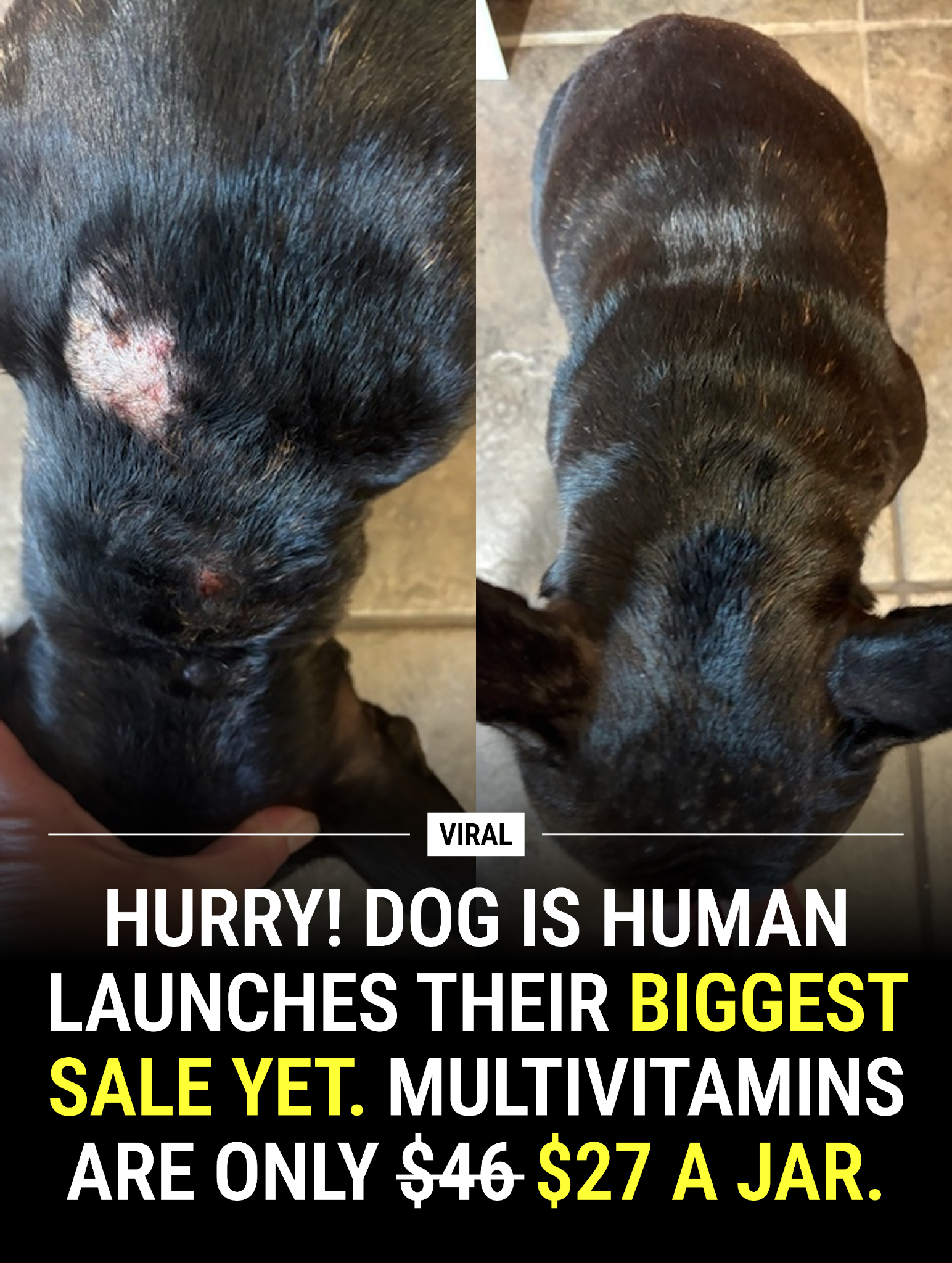 Dog is Human Facebook ad