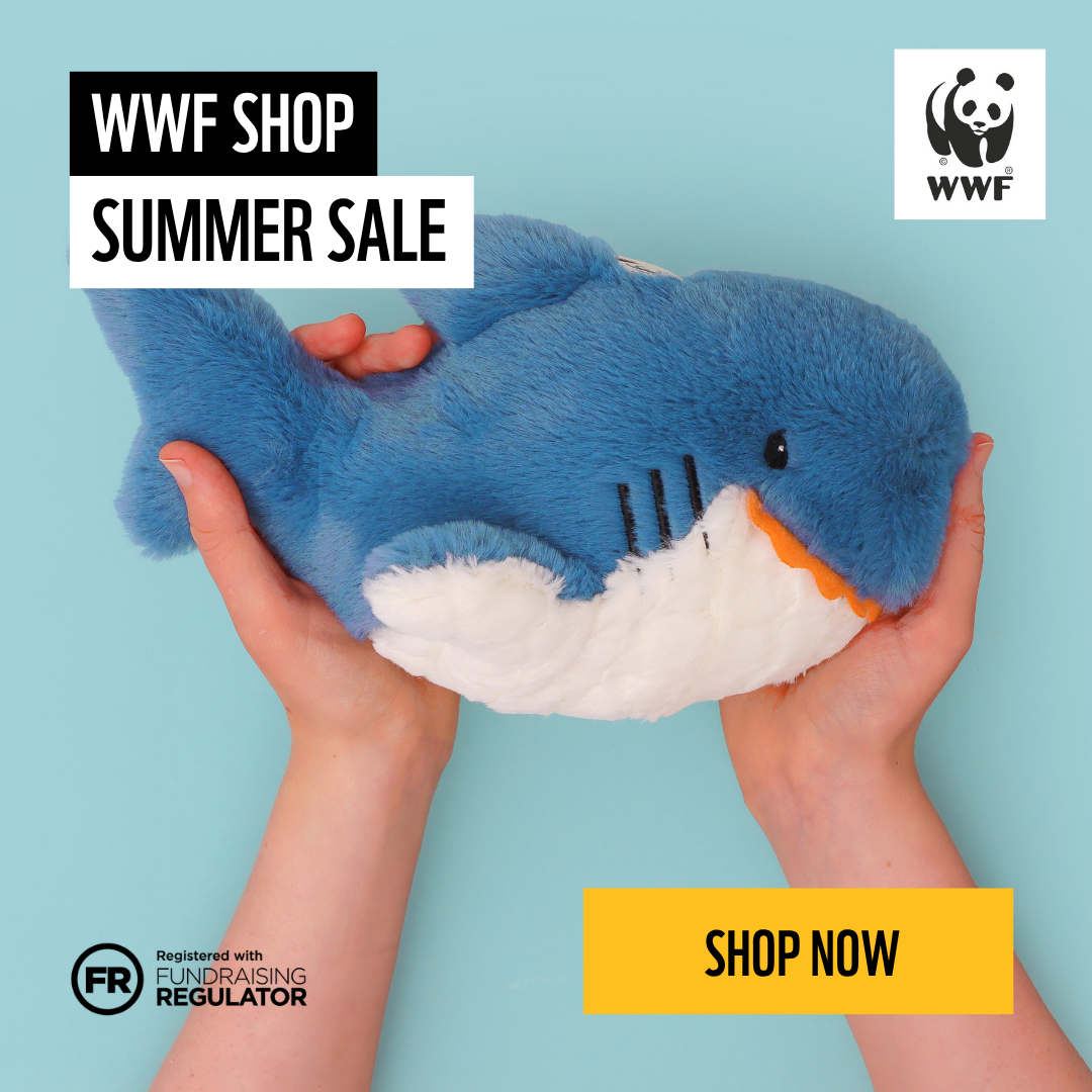 WWF UK Facebook ad