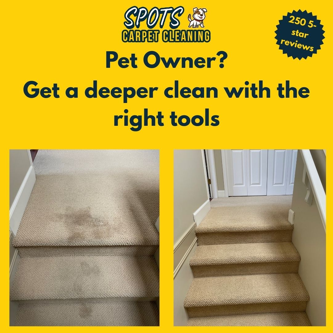 Spots Carpet Cleaning Facebook ad from Mar 26, 2026