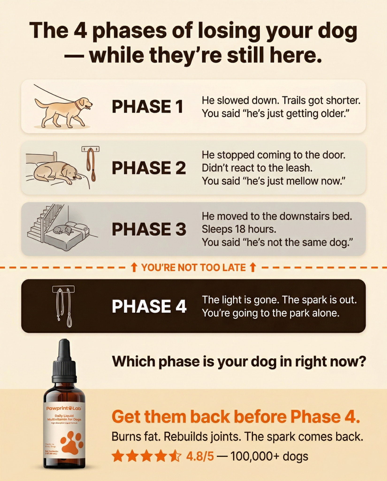 Vet-Approved Pet Products Facebook ad