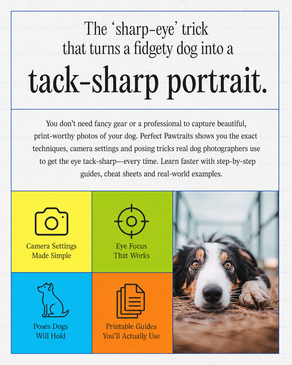 Expert Photography Facebook ad