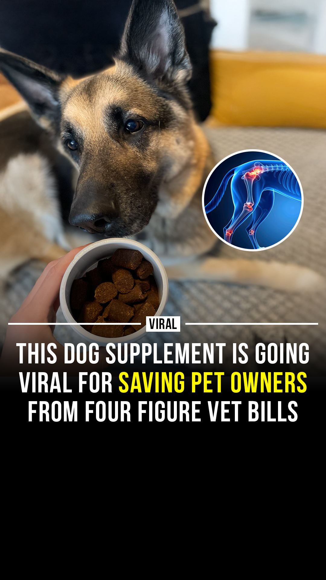 Wuffes Facebook ad