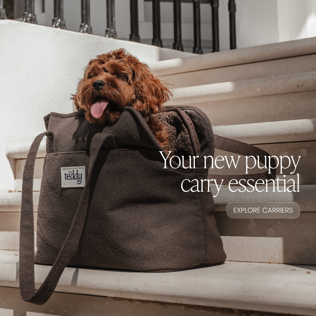 By Teddy Facebook ad