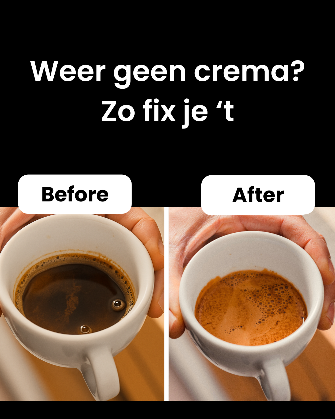 Zwarte Roes coffee Facebook ad