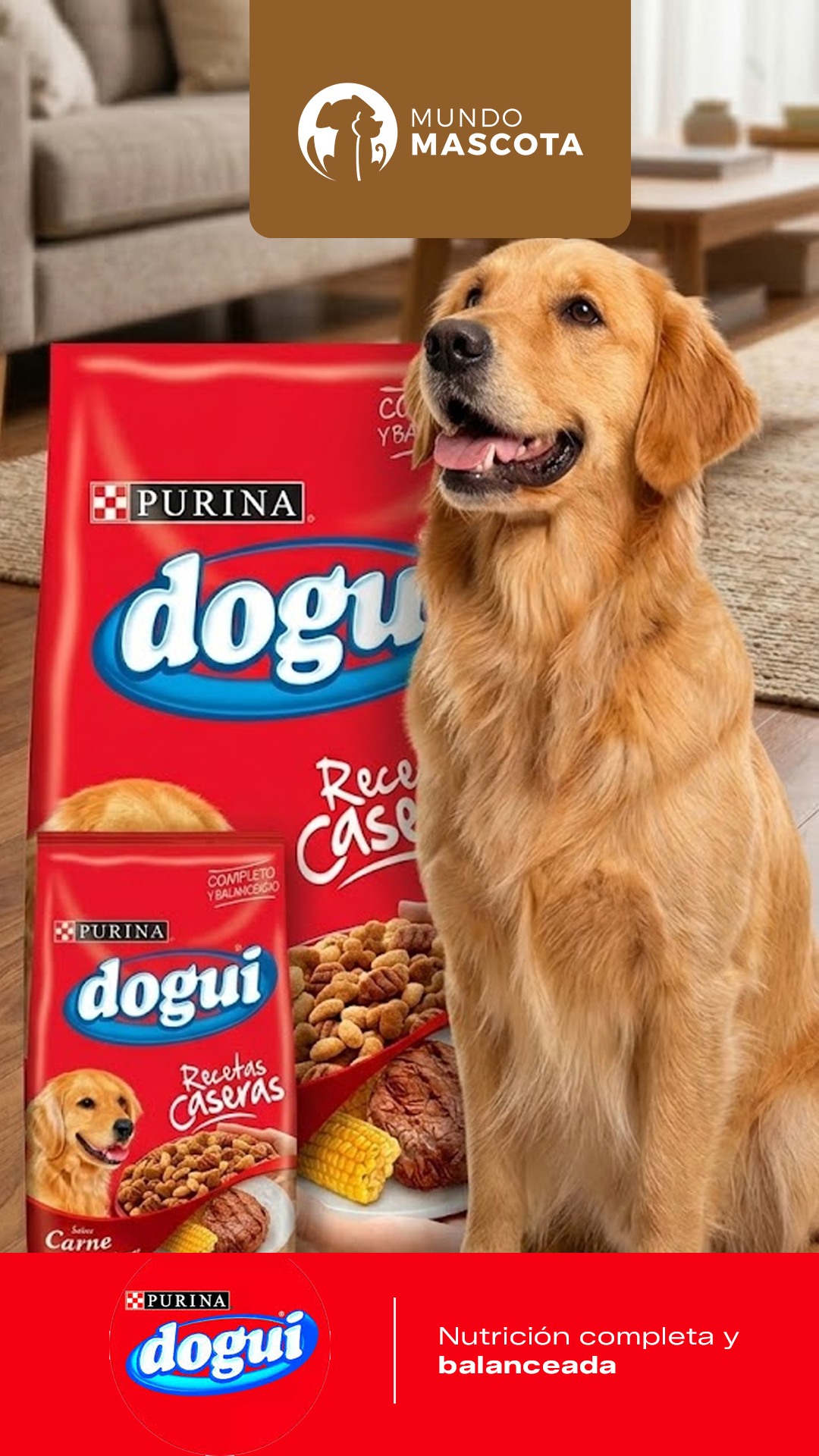 Mundo Mascota Facebook ad