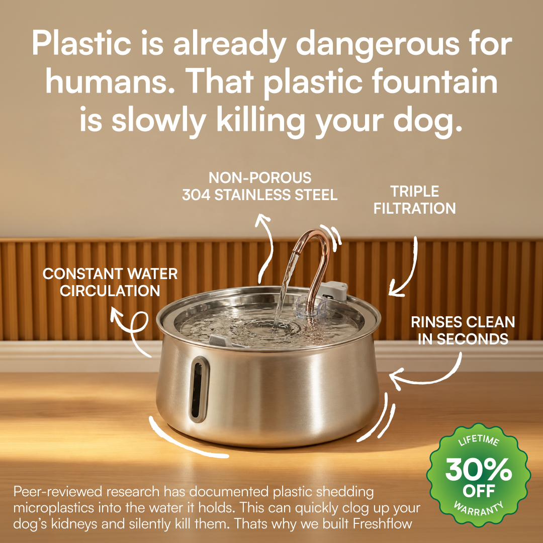 Rhykin Pet Co Facebook ad