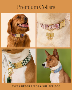 The Foggy Dog Facebook ad