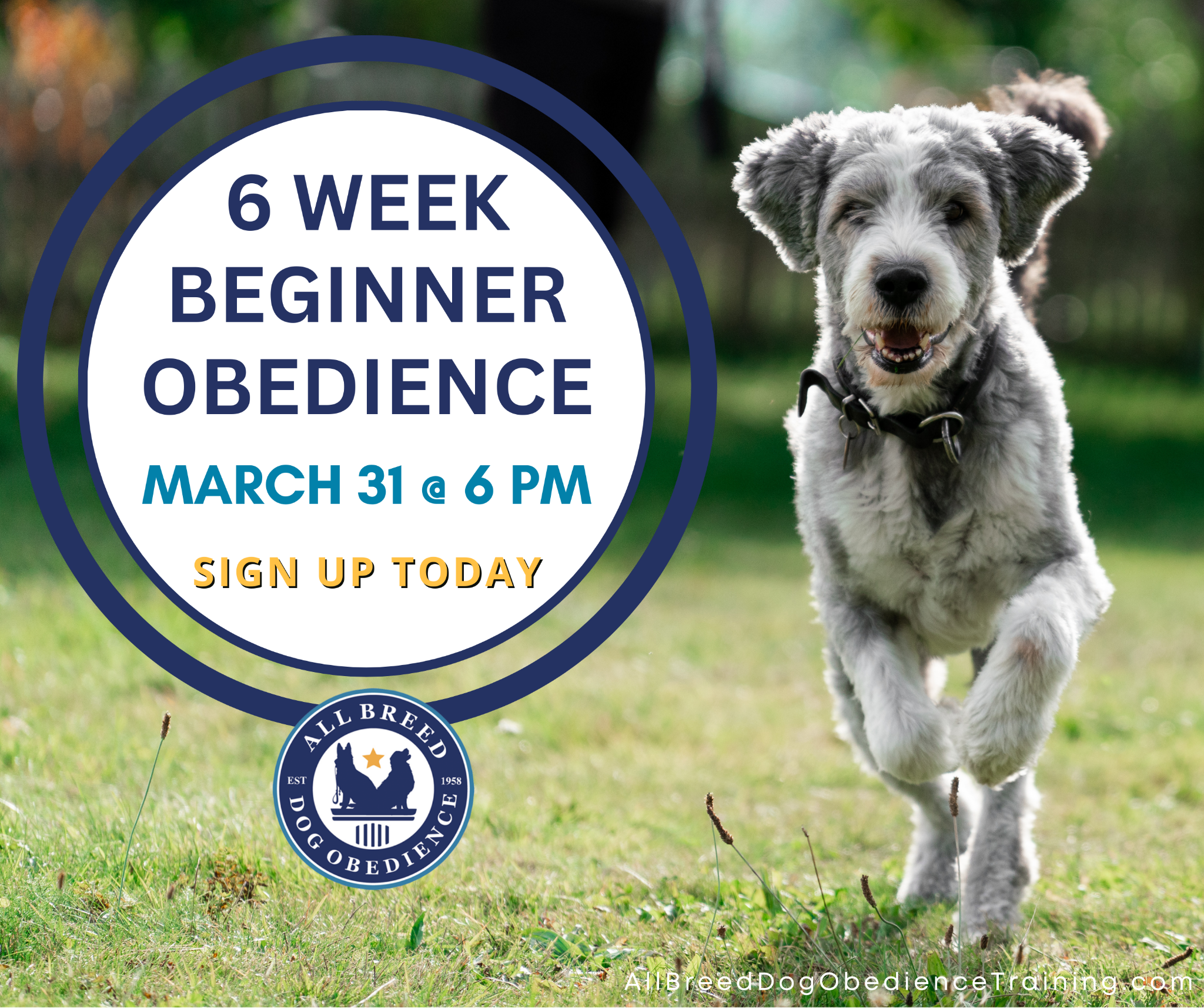 All Breed Dog Obedience Training-Neal D Leas in Des Moines Iowa Facebook ad