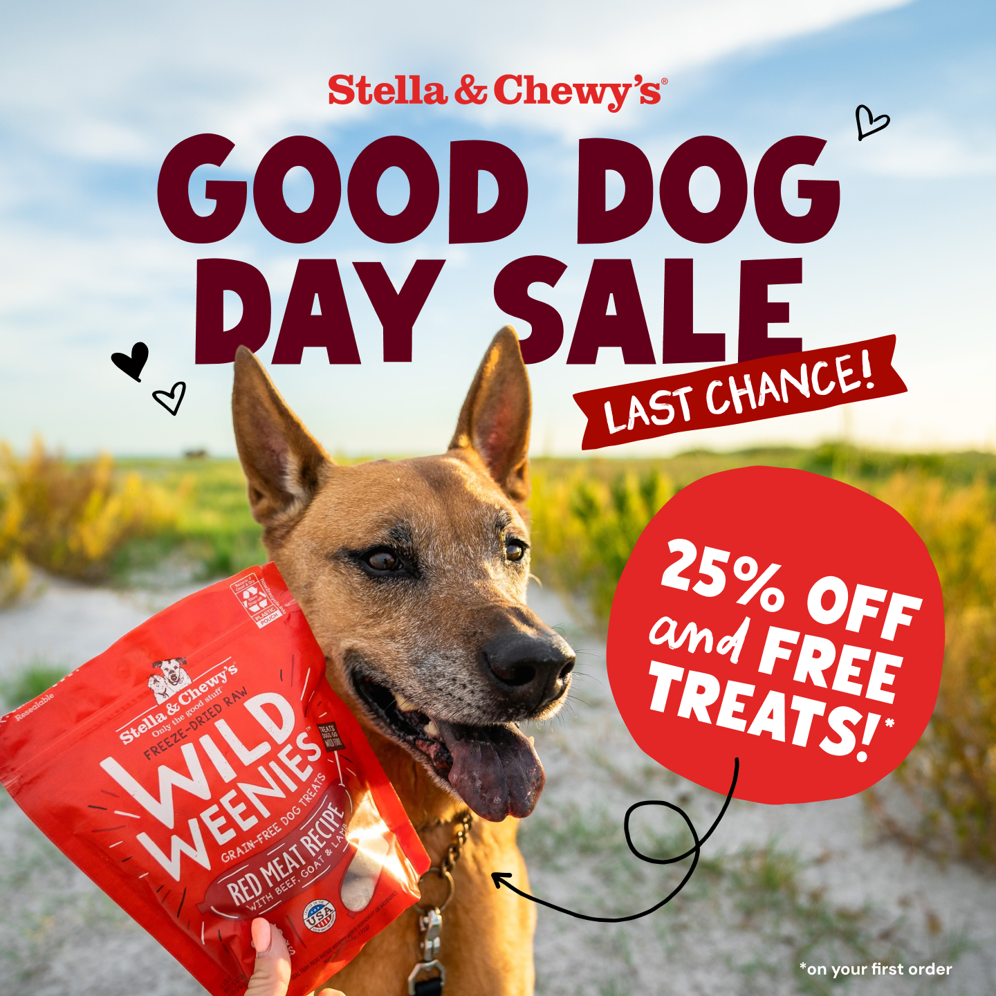 Stella & Chewy's Facebook ad: Don’t Miss Free Treats!