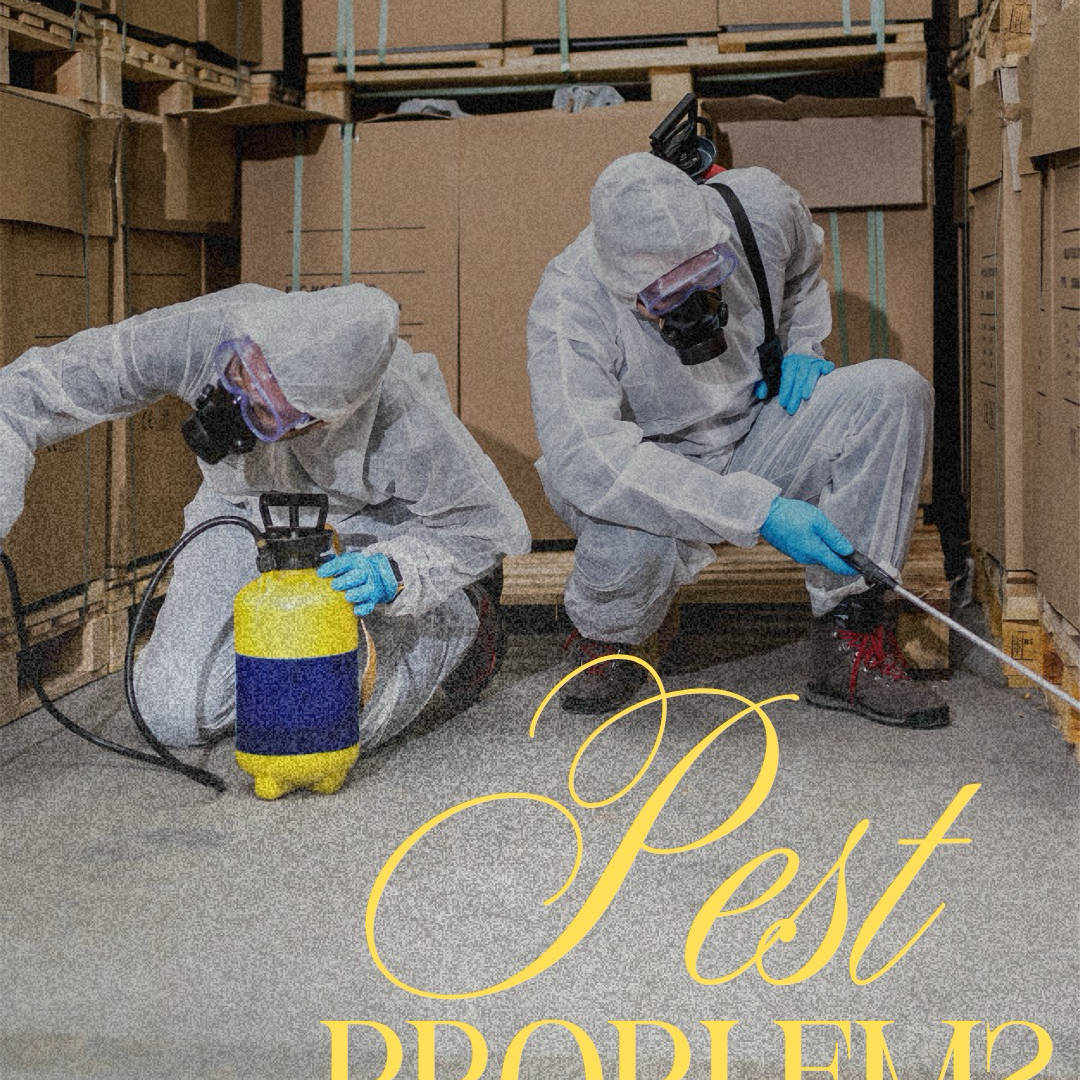 Pest Management Services Facebook ad: Chat in Messenger