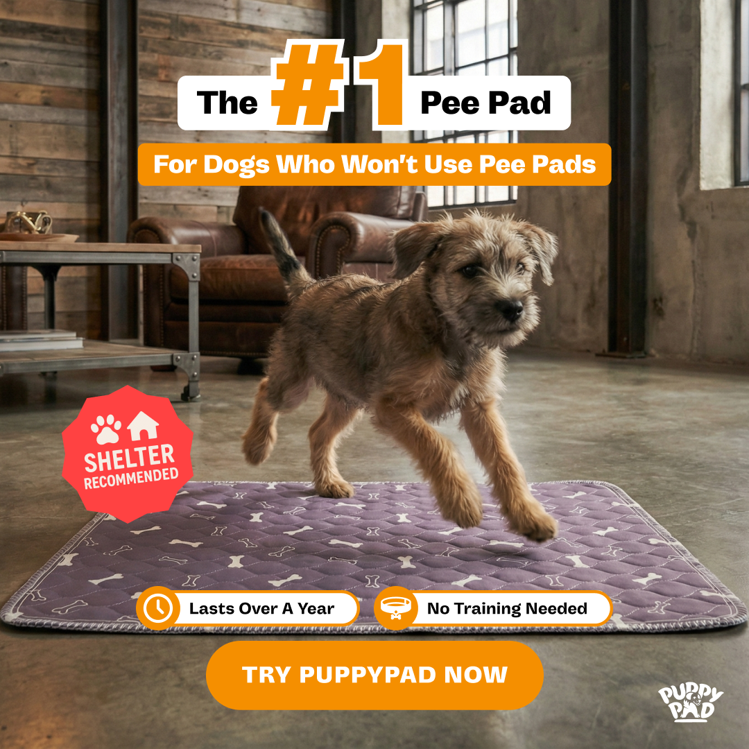 PuppyPad Facebook ad