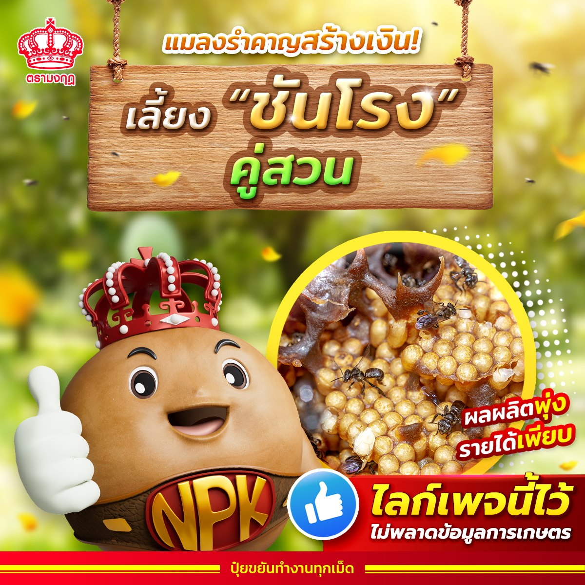 ปุ๋ยตรามงกุฎ Facebook ad