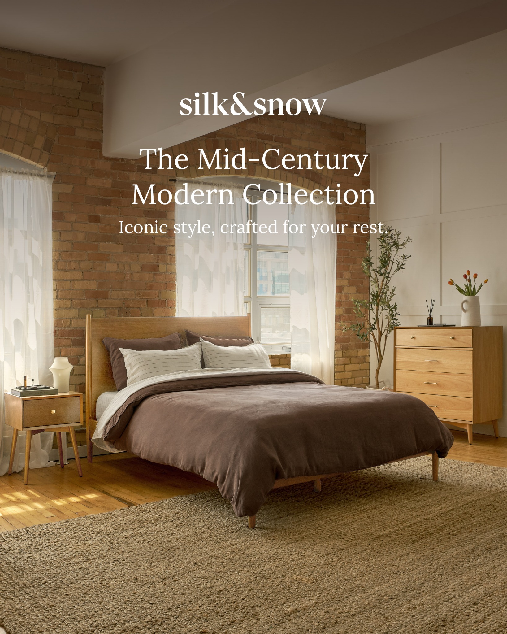 Silk and Snow Facebook ad