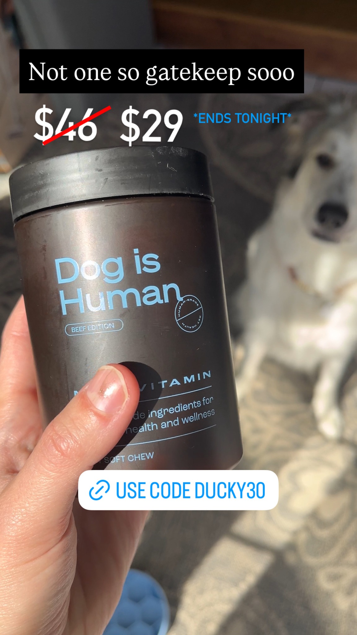 Dog is Human Facebook ad